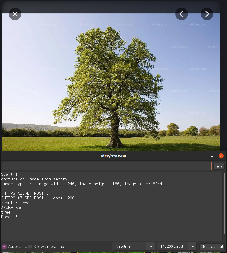 ../../_images/demo_pic_azure_01.png