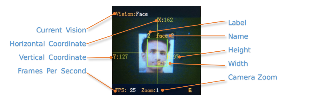 ../../_images/sentry2_vision_result_en.png